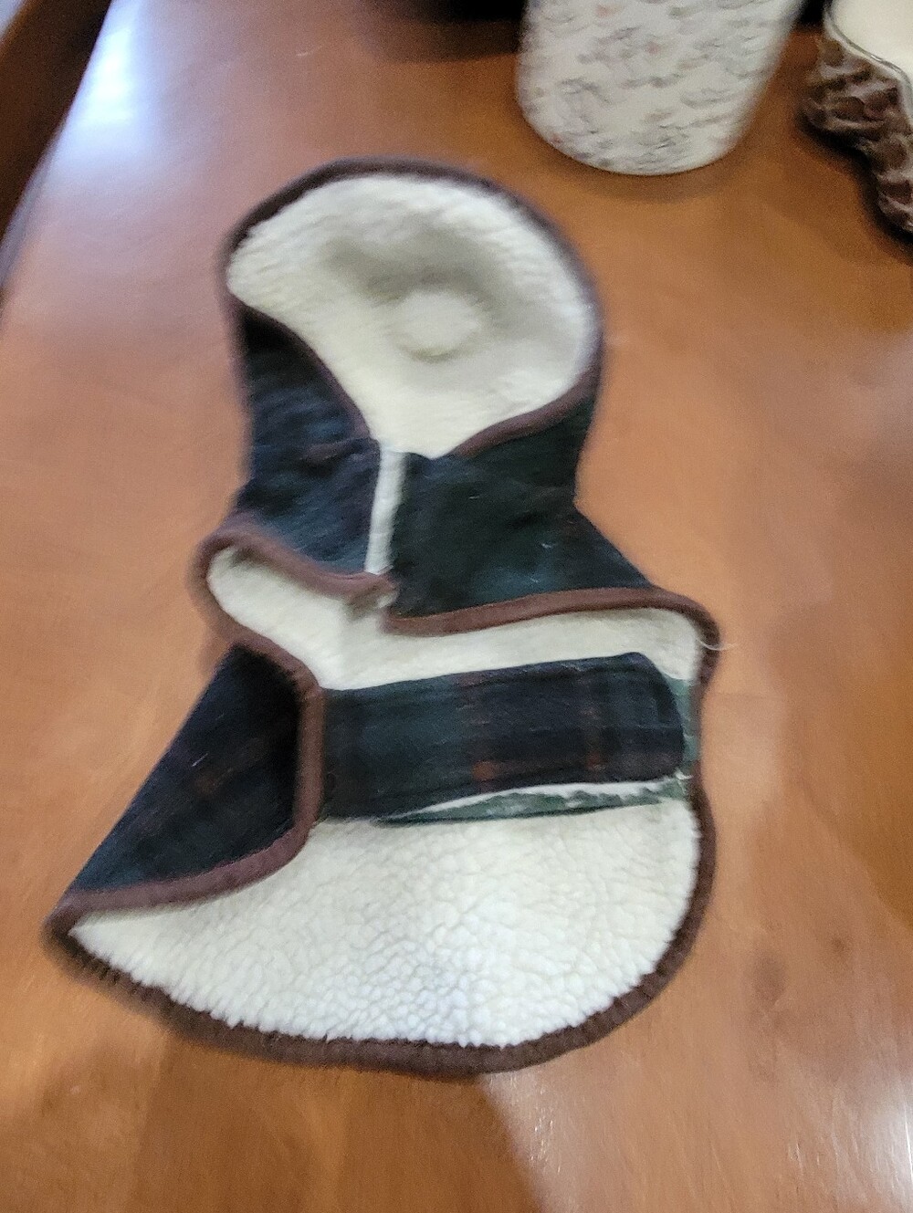 Doggy jacket for $10.